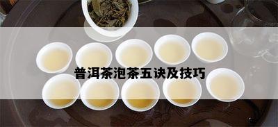 普洱茶泡茶五诀及技巧