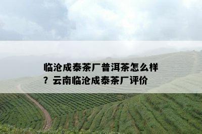 临沧成泰茶厂普洱茶怎么样？云南临沧成泰茶厂评价