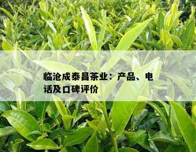 临沧成泰昌茶业：产品、电话及口碑评价