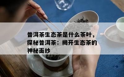 普洱茶生态茶是什么茶叶，探秘普洱茶：揭开生态茶的神秘面纱