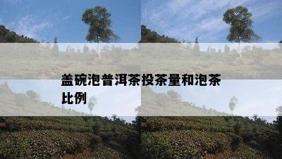 盖碗泡普洱茶投茶量和泡茶比例