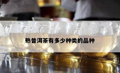 熟普洱茶有多少种类的品种