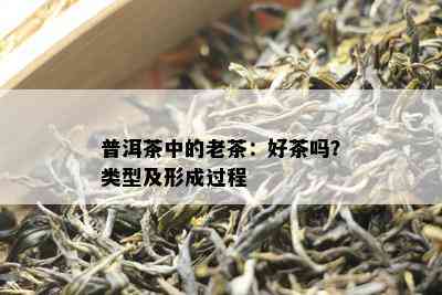 普洱茶中的老茶：好茶吗？类型及形成过程