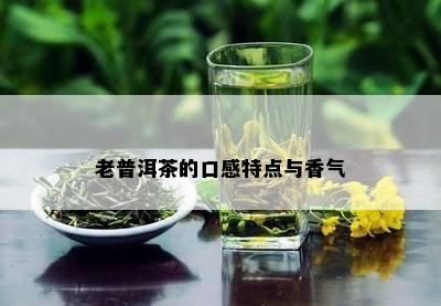 老普洱茶的口感特点与香气