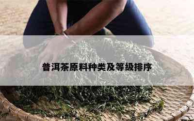 普洱茶原料种类及等级排序