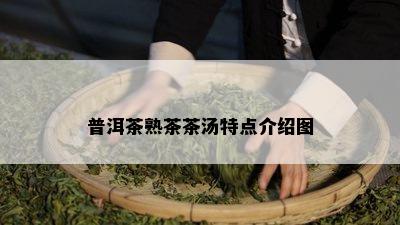 普洱茶熟茶茶汤特点介绍图