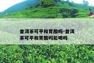 普洱茶可平和胃酸吗-普洱茶可平和胃酸吗能喝吗