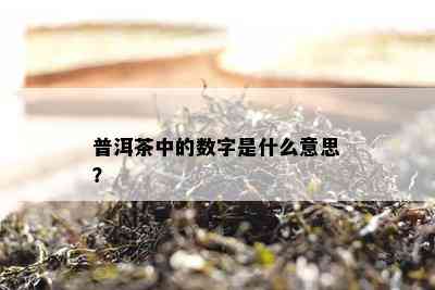 普洱茶中的数字是什么意思？