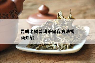 昆明老树普洱茶储存方法视频介绍