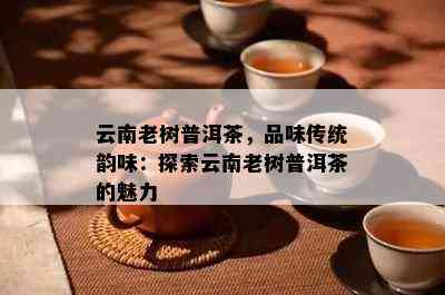 云南老树普洱茶，品味传统韵味：探索云南老树普洱茶的魅力