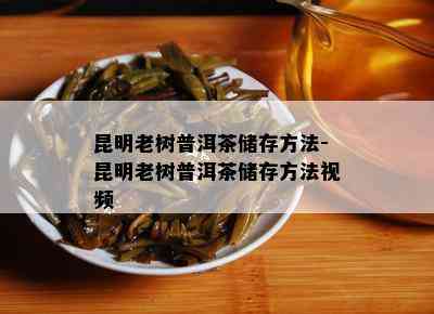 昆明老树普洱茶储存方法-昆明老树普洱茶储存方法视频