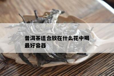 普洱茶适合放在什么花中喝更好容器