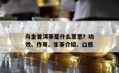 乌金普洱茶是什么意思？功效、作用、生茶介绍、口感