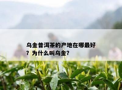 乌金普洱茶的产地在哪更好？为什么叫乌金？