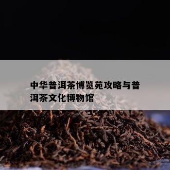 中华普洱茶博览苑攻略与普洱茶文化博物馆