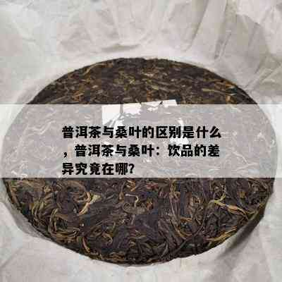 普洱茶与桑叶的区别是什么，普洱茶与桑叶：饮品的差异究竟在哪？