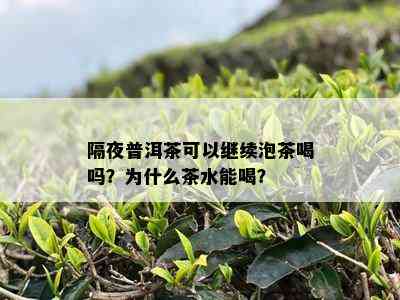 隔夜普洱茶可以继续泡茶喝吗？为什么茶水能喝？