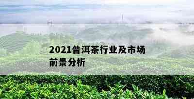 2021普洱茶行业及市场前景分析