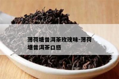 薄荷塘普洱茶玫瑰味-薄荷塘普洱茶口感