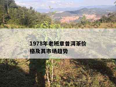 1978年老班章普洱茶价格及其市场趋势