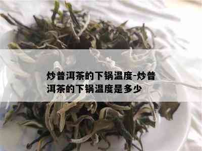 炒普洱茶的下锅温度-炒普洱茶的下锅温度是多少