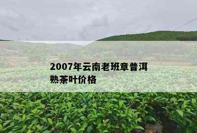 2007年云南老班章普洱熟茶叶价格