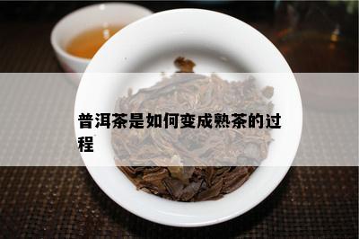 普洱茶是如何变成熟茶的过程