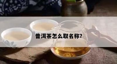 普洱茶怎么取名称？