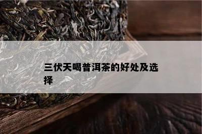 三伏天喝普洱茶的好处及选择