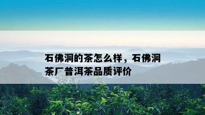 石佛洞的茶怎么样，石佛洞茶厂普洱茶品质评价