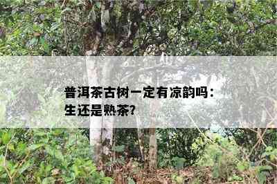 普洱茶古树一定有凉韵吗：生还是熟茶？