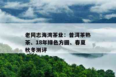 老同志海湾茶业：普洱茶熟茶、18年绿色方圆、春夏秋冬测评