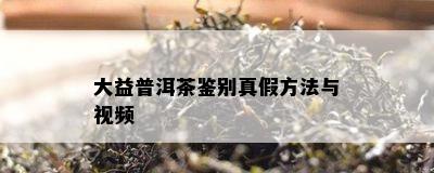 大益普洱茶鉴别真假方法与视频