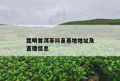 昆明普洱茶抖音基地地址及直播信息