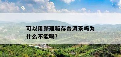 可以用整理箱存普洱茶吗为什么不能喝？