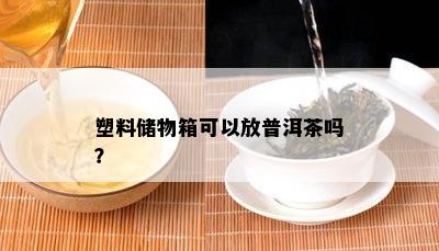 塑料储物箱可以放普洱茶吗？