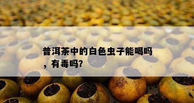 普洱茶中的白色虫子能喝吗，有吗？