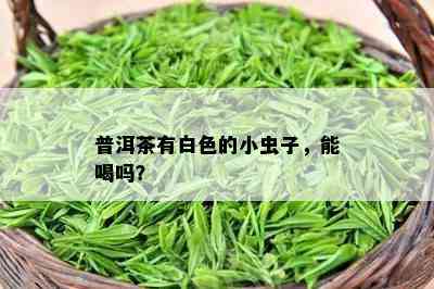 普洱茶有白色的小虫子，能喝吗？