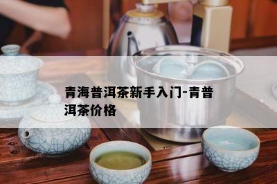 青海普洱茶新手入门-青普洱茶价格