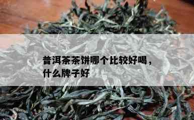 普洱茶茶饼哪个比较好喝，什么牌子好