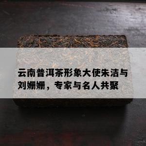 云南普洱茶形象大使朱洁与刘姗姗，专家与名人共聚