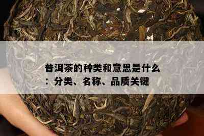 普洱茶的种类和意思是什么：分类、名称、品质关键