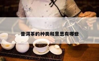 普洱茶的种类和意思有哪些