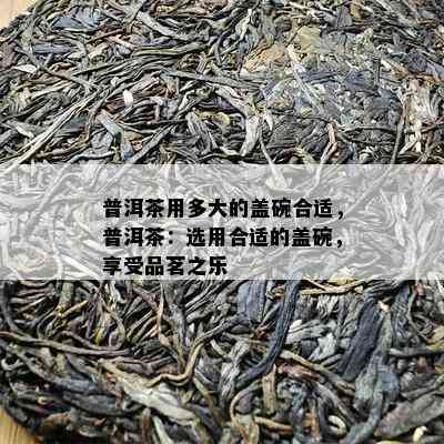 普洱茶用多大的盖碗合适，普洱茶：选用合适的盖碗，享受品茗之乐