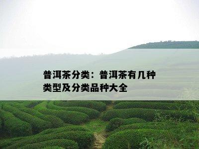 普洱茶分类：普洱茶有几种类型及分类品种大全