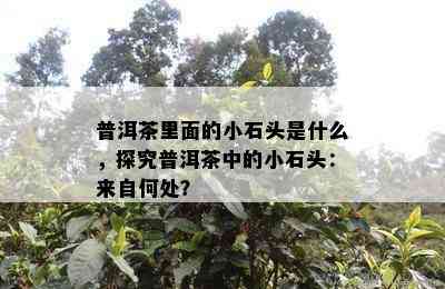 普洱茶里面的小石头是什么，探究普洱茶中的小石头：来自何处？