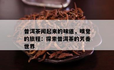 普洱茶闻起来的味道，嗅觉的旅程：探索普洱茶的芳香世界