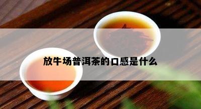 放牛场普洱茶的口感是什么