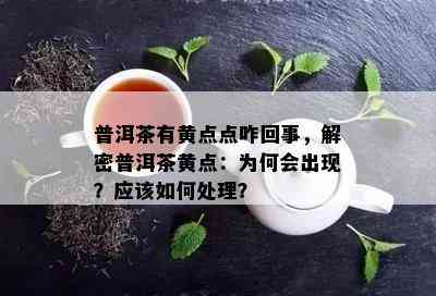 普洱茶有黄点点咋回事，解密普洱茶黄点：为何会出现？应该如何处理？