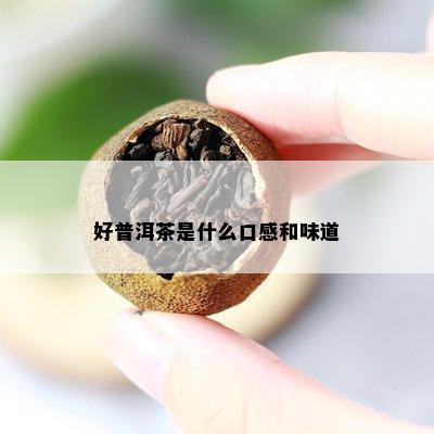 好普洱茶是什么口感和味道